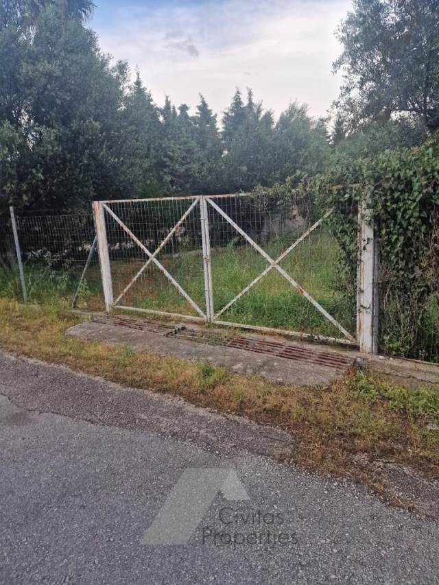 (Προς Πώληση) Αξιοποιήσιμη Γη Αγροτεμάχιο || Ν. Αχαϊας/Συμπολιτεία - 2.565 τ.μ, 52.000€ 